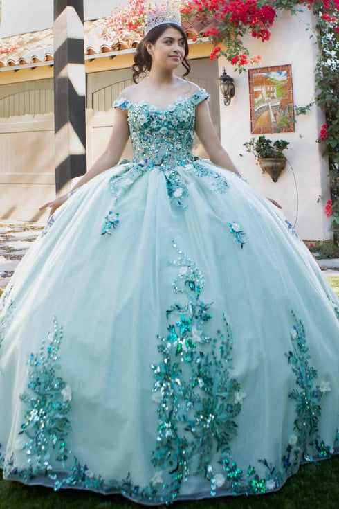 Enchanting Floral Details Quinceañera Ball Gown for Women, Sizes 4/XS-16/3X